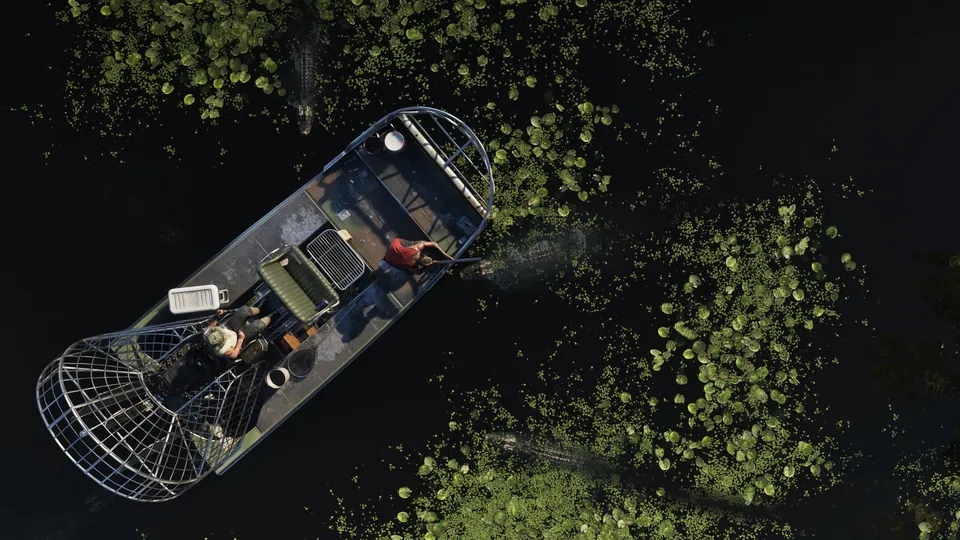 Grassrivers